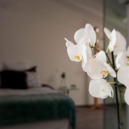 Bed and Breakfast San Clemente Крема Экстерьер фото